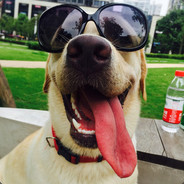 蒙面天才乔碧罗小姐姐