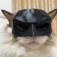 CatMan