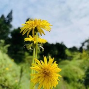 暮然回首n1已转身