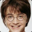 Harry Fuckin Potter