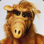 ALF