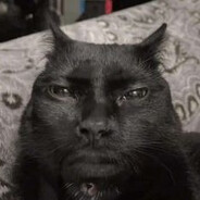 Vennkus