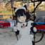 萌え