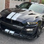 Mr.Mustang