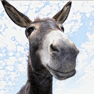 emokid666 - steam id 76561199251736863