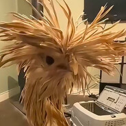 FrothyChicken