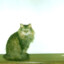 pijuka's avatar