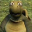 Gui