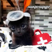 ТОЛИК ЩЕБЁНКА