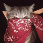 hanging_with_my_gnomies