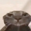 Skrpn