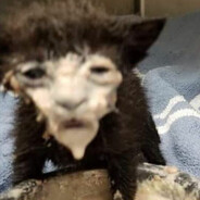 beggin' for a peggin'