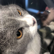 脆弱又敏感的小宝宝