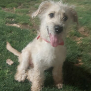 ❥Ⱥ͠в̶͜ɴ͡ᴇ̶ʀ✦