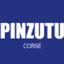 THE PINZUTU
