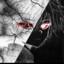 Where`s Your God?