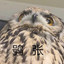 犹格索托斯