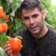 Pimiento morron