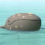 ElasmoInc