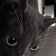 Avatar snapshot