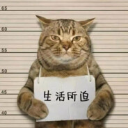 闪光你抓不住的