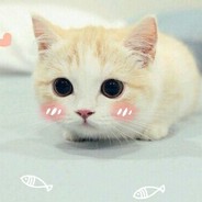 你说火锅多好吃