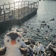 ♥𝓛𝓾𝓬𝓴𝔂𝓛𝓪𝓶𝓫♥