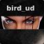 bird_ud