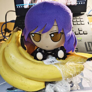 超越了灵长类的阿阇黎