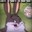 BIG Chungus's avatar