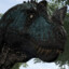 IslatorGG