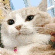 爸爸妈妈说不许不许