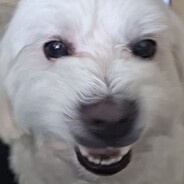 러닌