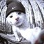 StatRack-Oleg