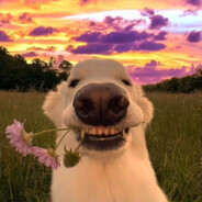 voitto - steam id 76561199470895603