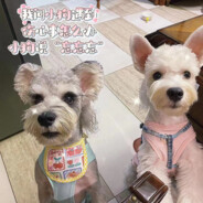 美女厨子三天一顿饭