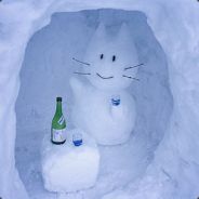 niboshi avatar