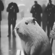 capybaratankfromhell