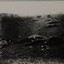 Mara