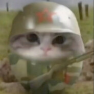 我反应不了子弹