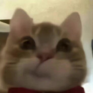 我IKUN你会爱我吗