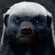 ʕᓀᴥᓂʔ平头歌