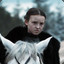 Lyanna Mormont&#039;s