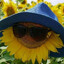 Avatar of Rstr_24
