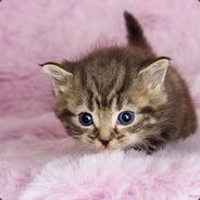 咕噜咕噜—滚滚圆