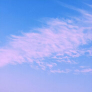 你已疯，我亦烦zzz