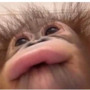 Monke