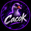 Cacok crazypub.su