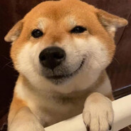 想摸摸你的大白腿