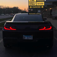 LEXZL1